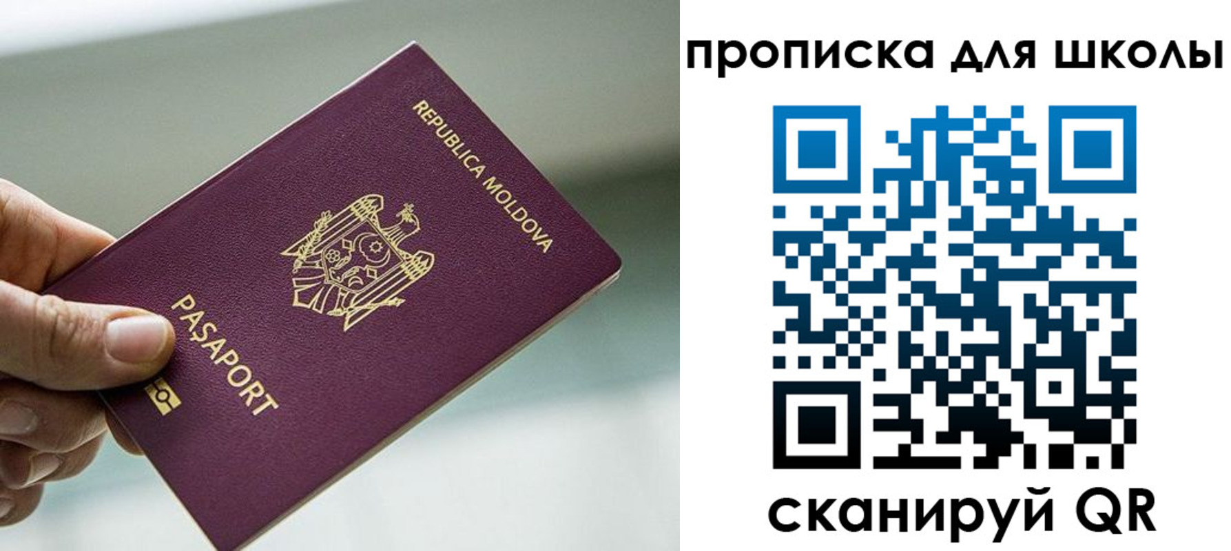 прописка в квартире в Острове